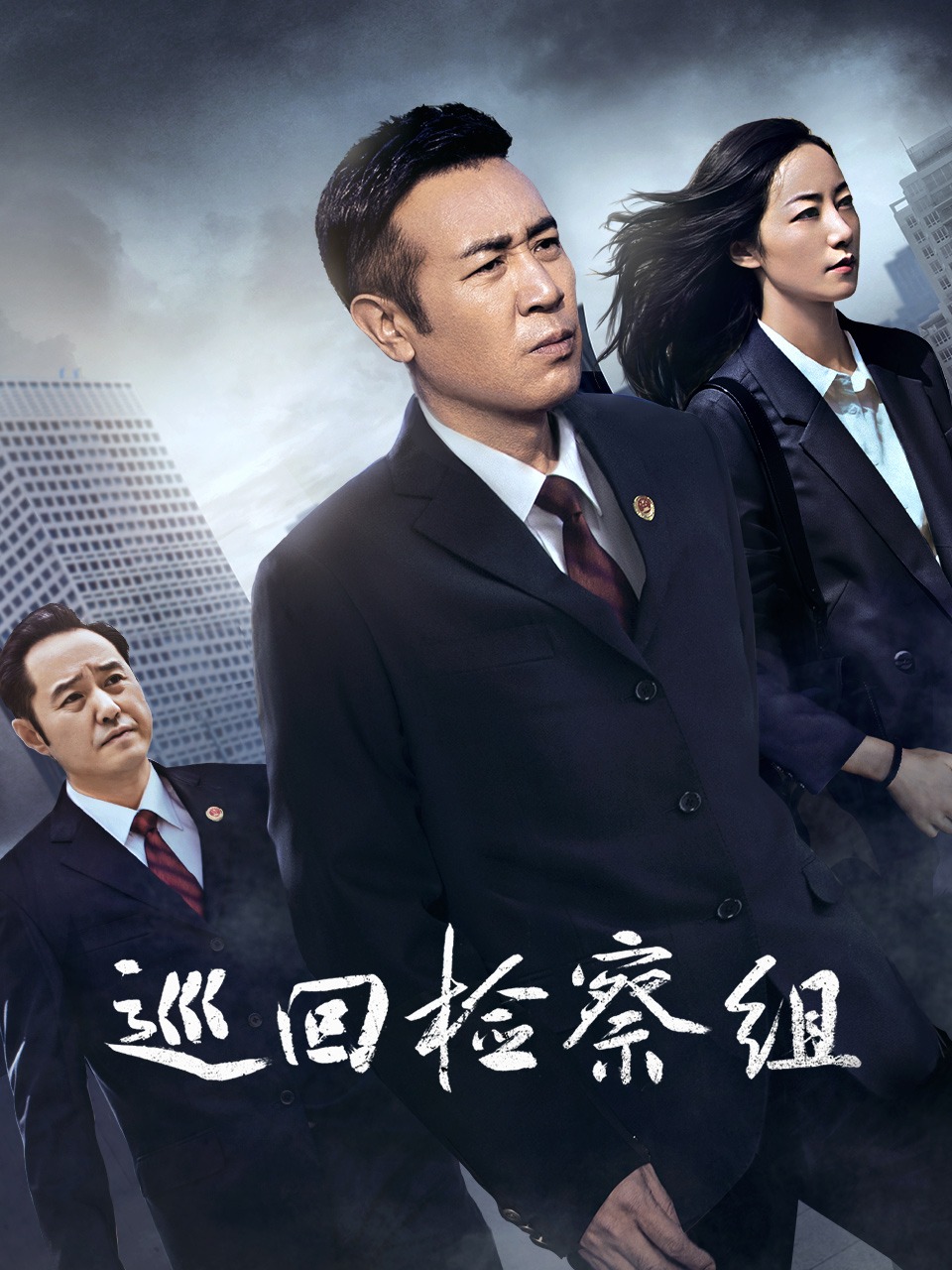 巡回检察组 DVD版