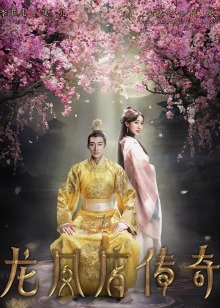 龙凤店传奇