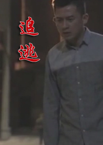 追逃2020