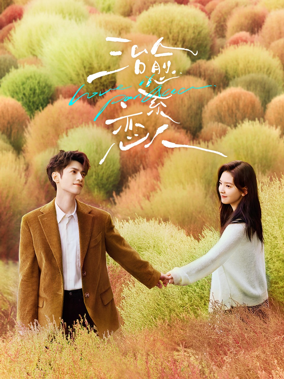 治愈系恋人 TV版