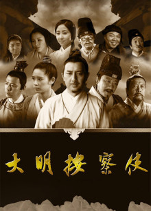 大明按察使[央视版]