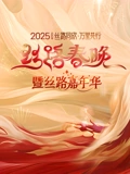 2025陕西丝路春晚