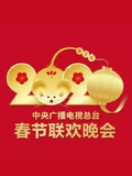 2020央视春晚