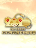 2020央视元宵特别节目