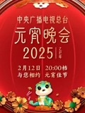2025年中央广播电视总台元宵晚会
