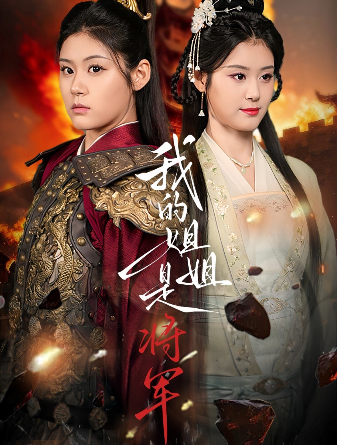 我的姐姐是将军