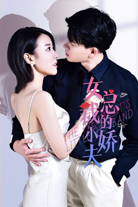 女总裁的小娇夫