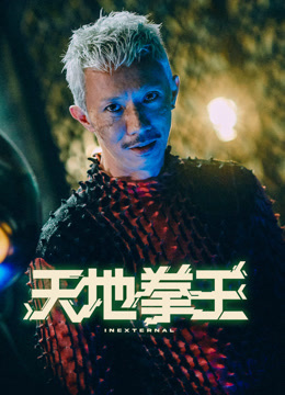 天地拳王粤语版