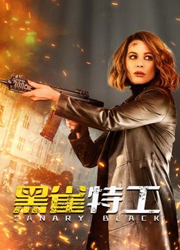 黑雀特工国语版