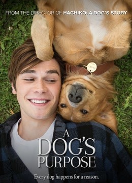 一条狗的使命版