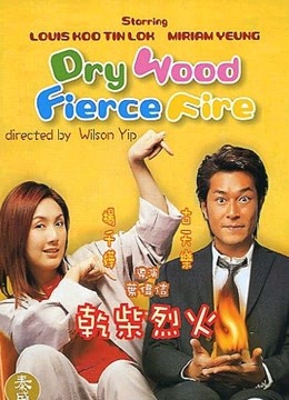 干柴烈火粤语