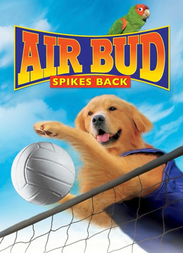 飞狗巴迪5:排球健将英语版