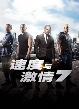 速度与激情7版
