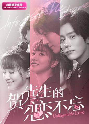 贺先生的恋恋不忘印尼语