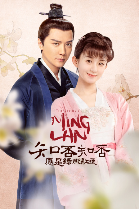 知否知否应是绿肥红瘦版