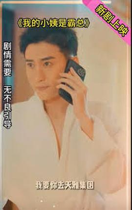 我的小姨是霸总