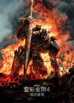 变形金刚4绝迹重生