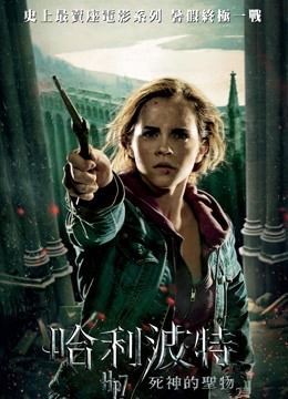 哈利波特7:死亡圣器下国语版