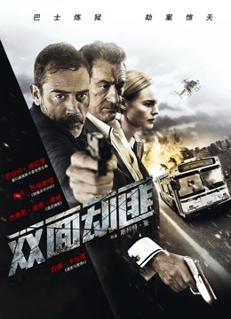 双面劫匪国语版