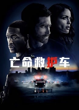 亡命救护车国语版