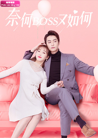 奈何BOSS又如何越南版语版